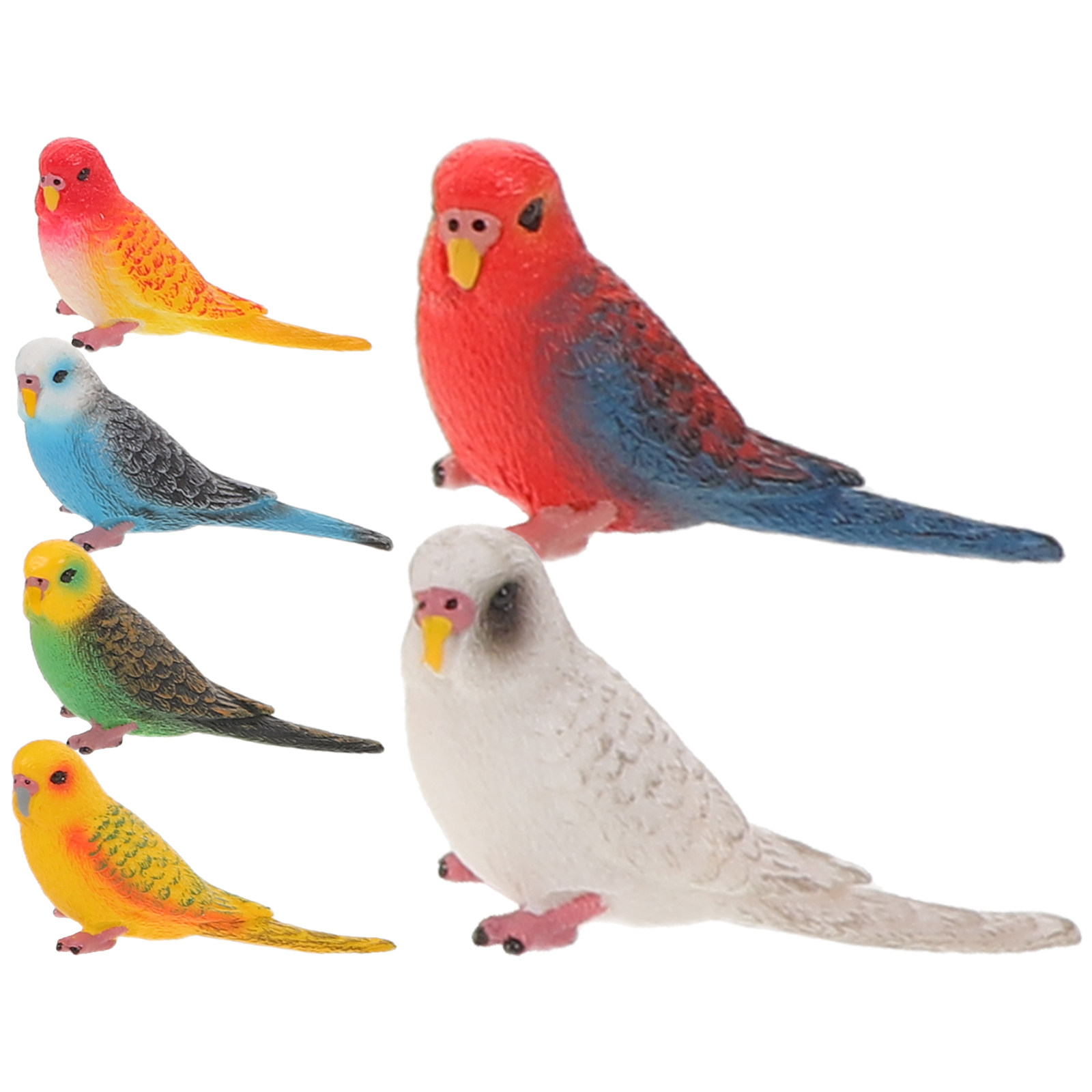 Kids Education Learning - 6Pcs Vibrant Realistic Parrot Decor Plastic