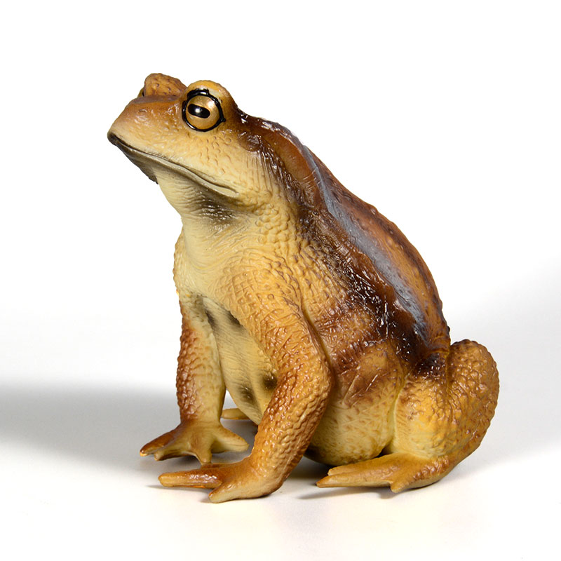 Kids First Education - Amphibian Frog Figure Insect Model Simulation