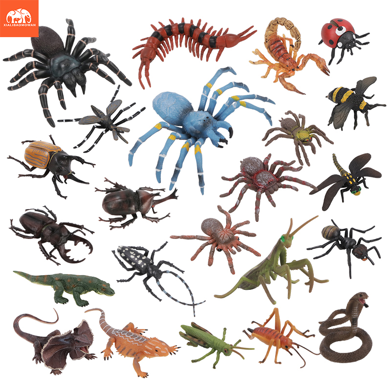 Kids First Education - Educational Simulation Insect & Wild Animal