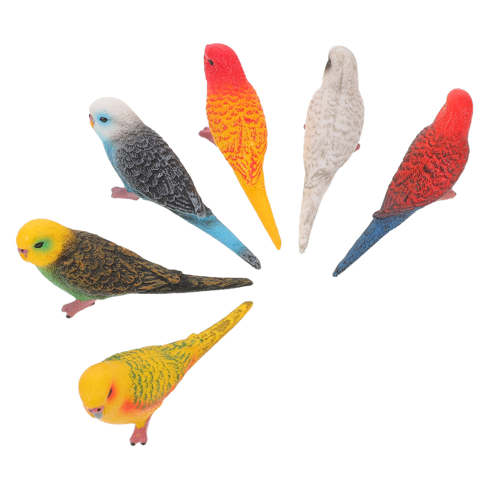 6Pcs Vibrant Realistic Parrot  - Kids Education Learning recension och pris