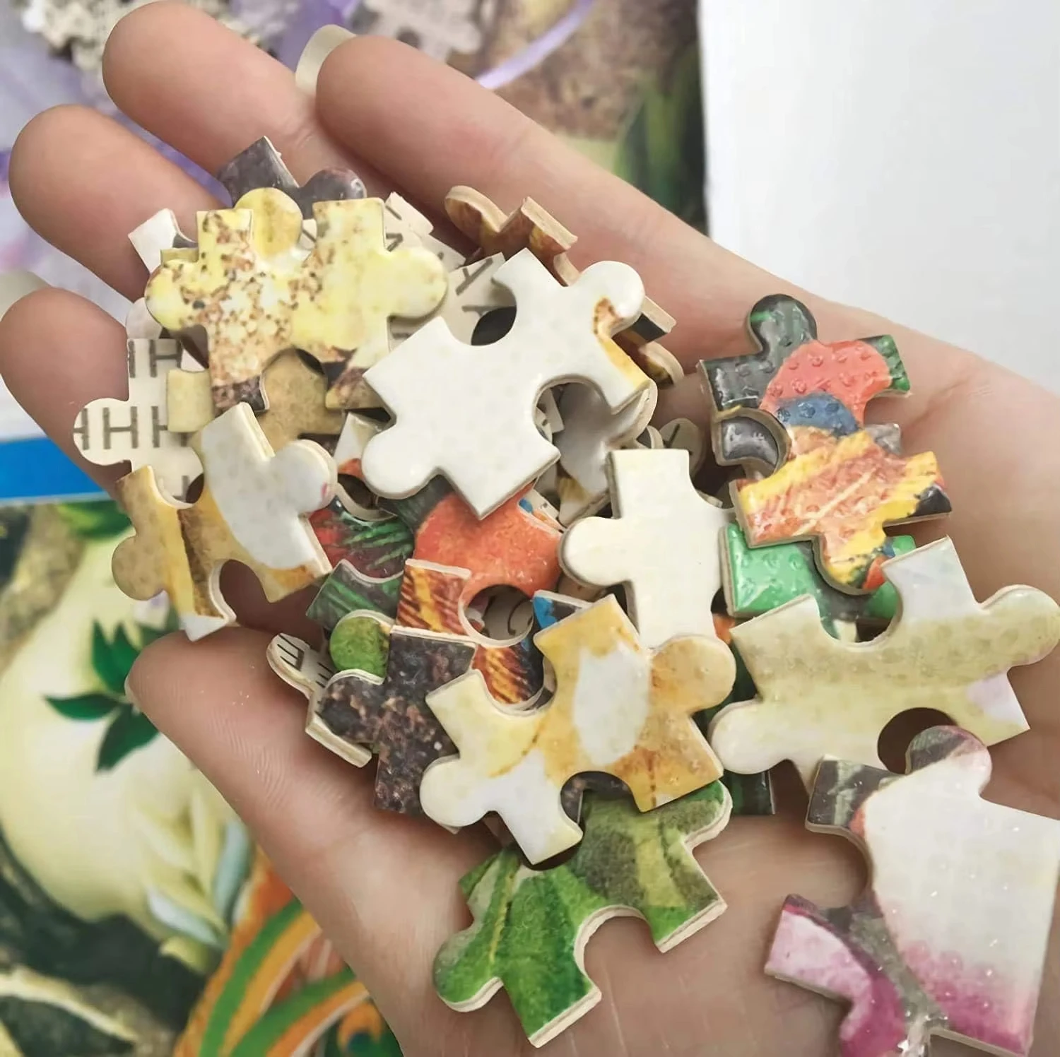 500-2000 Pieces Jigsaw Puzzle  - Kids Heaven Education recension och pris