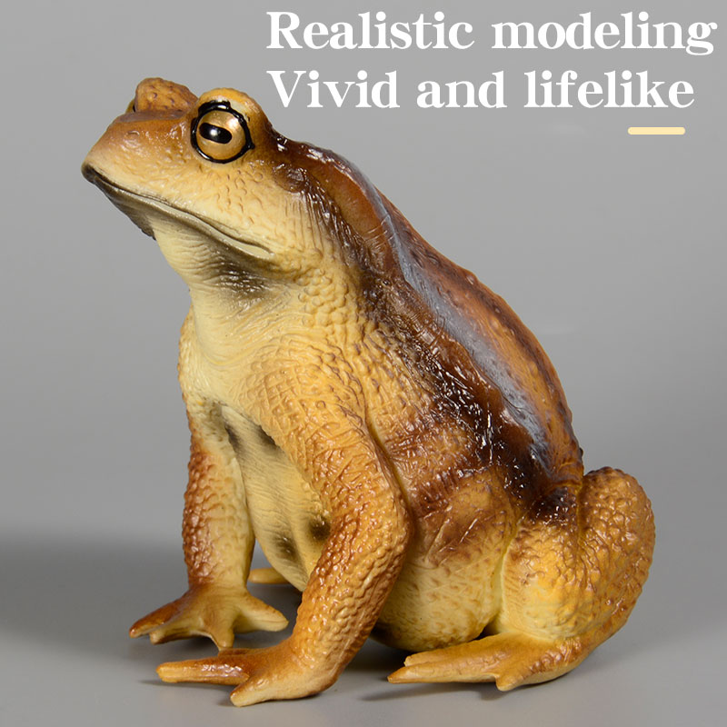 Amphibian Frog Figure Insect M - Kids First Education recension och pris