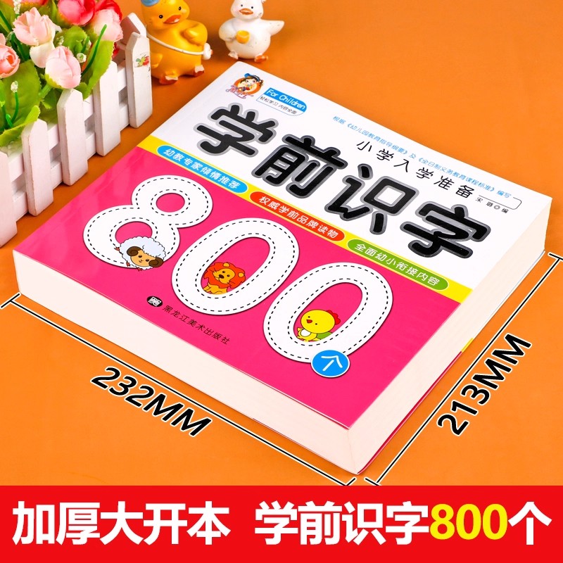 Preschool Literacy: 800 Chines - Kids Education Book recension och pris