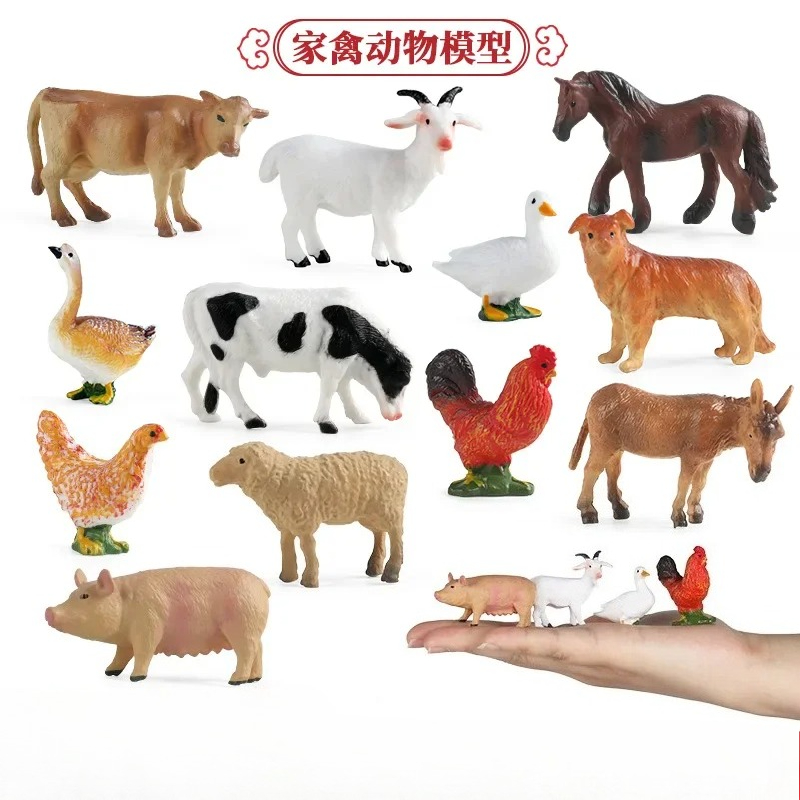 Education Teaching Tool Poultr - Kids First Education recension och pris