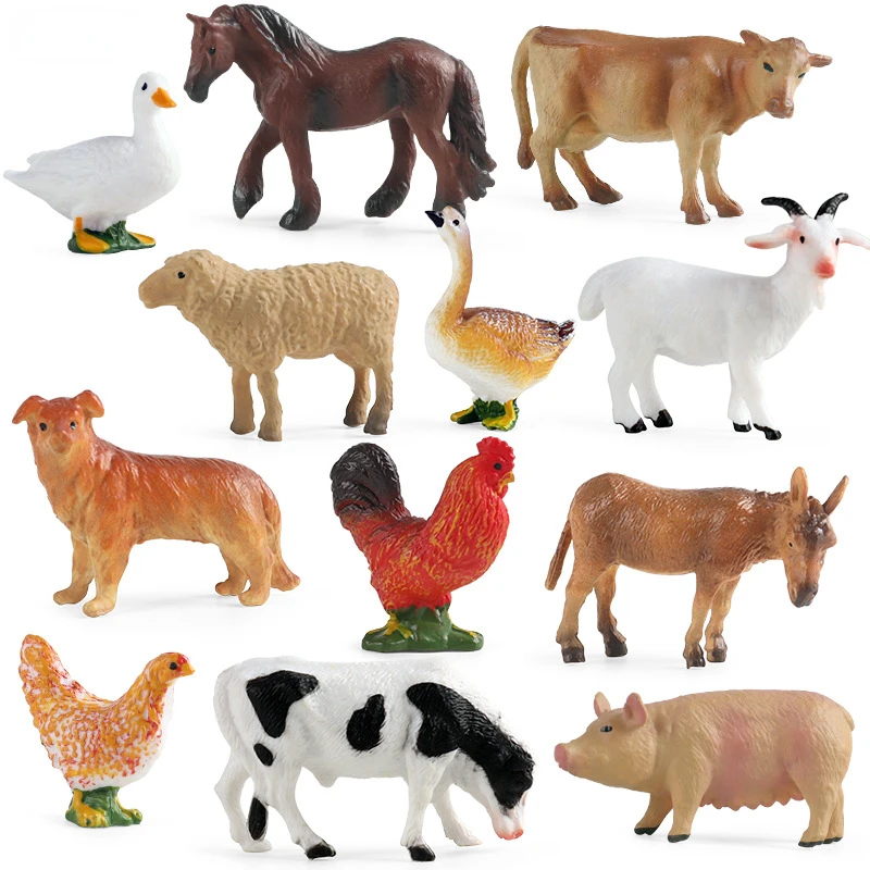 Education Teaching Tool Poultr - Kids First Education recension och pris