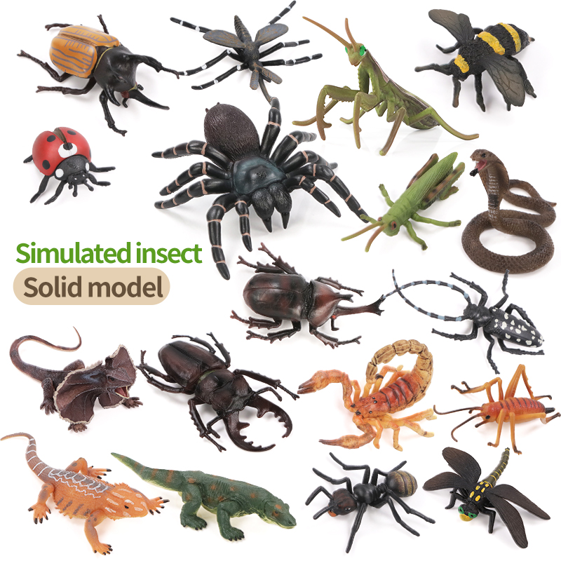 Educational Simulation Insect  - Kids First Education recension och pris